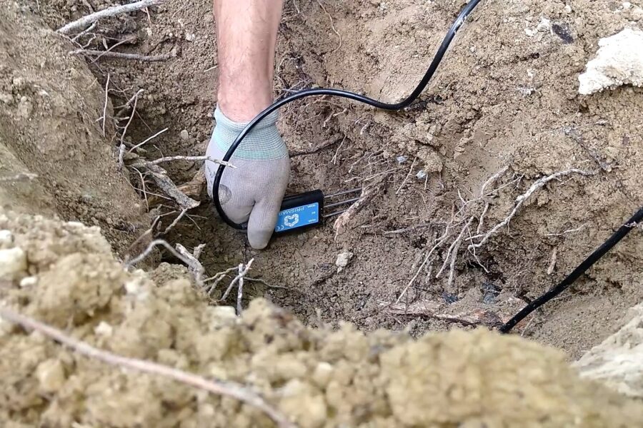 Técnico coloca sensor Prismab de tres sondas en calicata de suelo