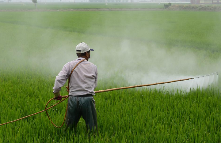 Respondemos a todas las preguntas sobre los herbicidas selectivos