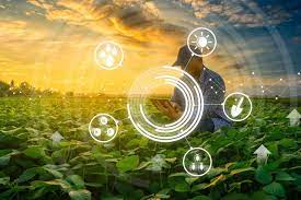 Las 4 claves de la agricultura inteligente