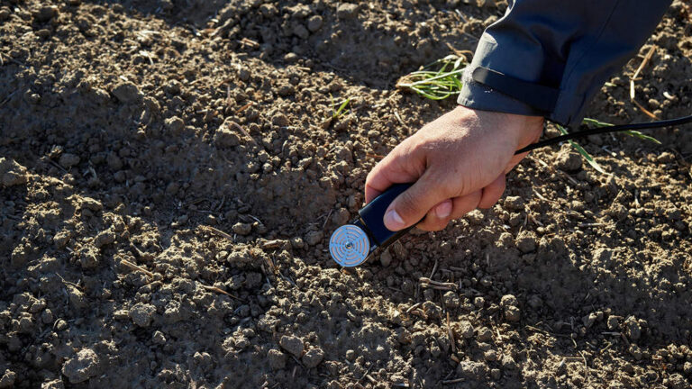 Mano sujetando sensor de suelo negro con cabezal metálico sobre tierra agrícola seca