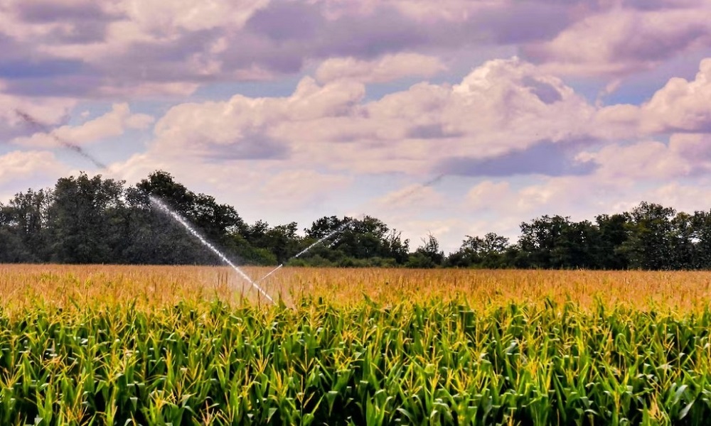 La presión del agua en las cosechas, ¿por qué hay que tenerla controlada?
