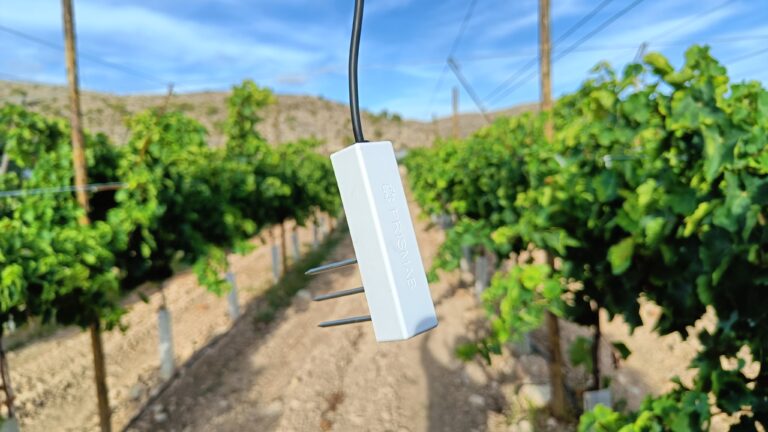 Sensor de suelo Prismab de tres púas colgando de su cable en una calle de viñedo en espaldera