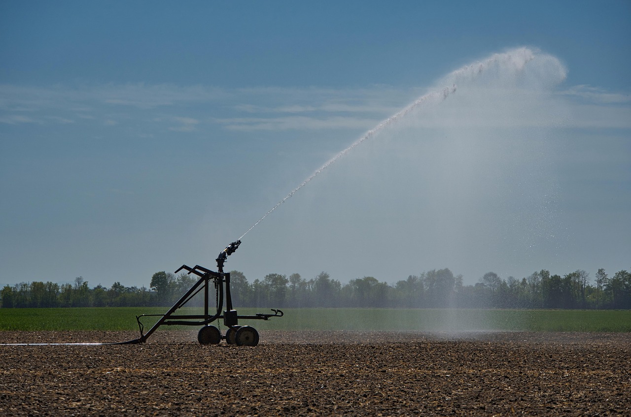 Gestión Eficiente del Riego: Ahorra Agua y Mejora la Productividad de Tus Cultivos