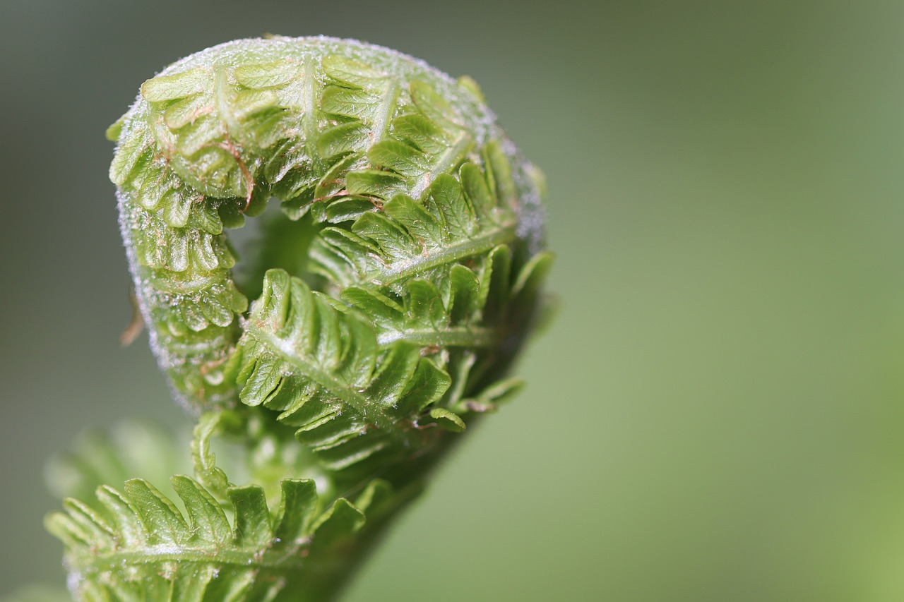 5 consejos que te permiten mejorar la producción de tu cultivo