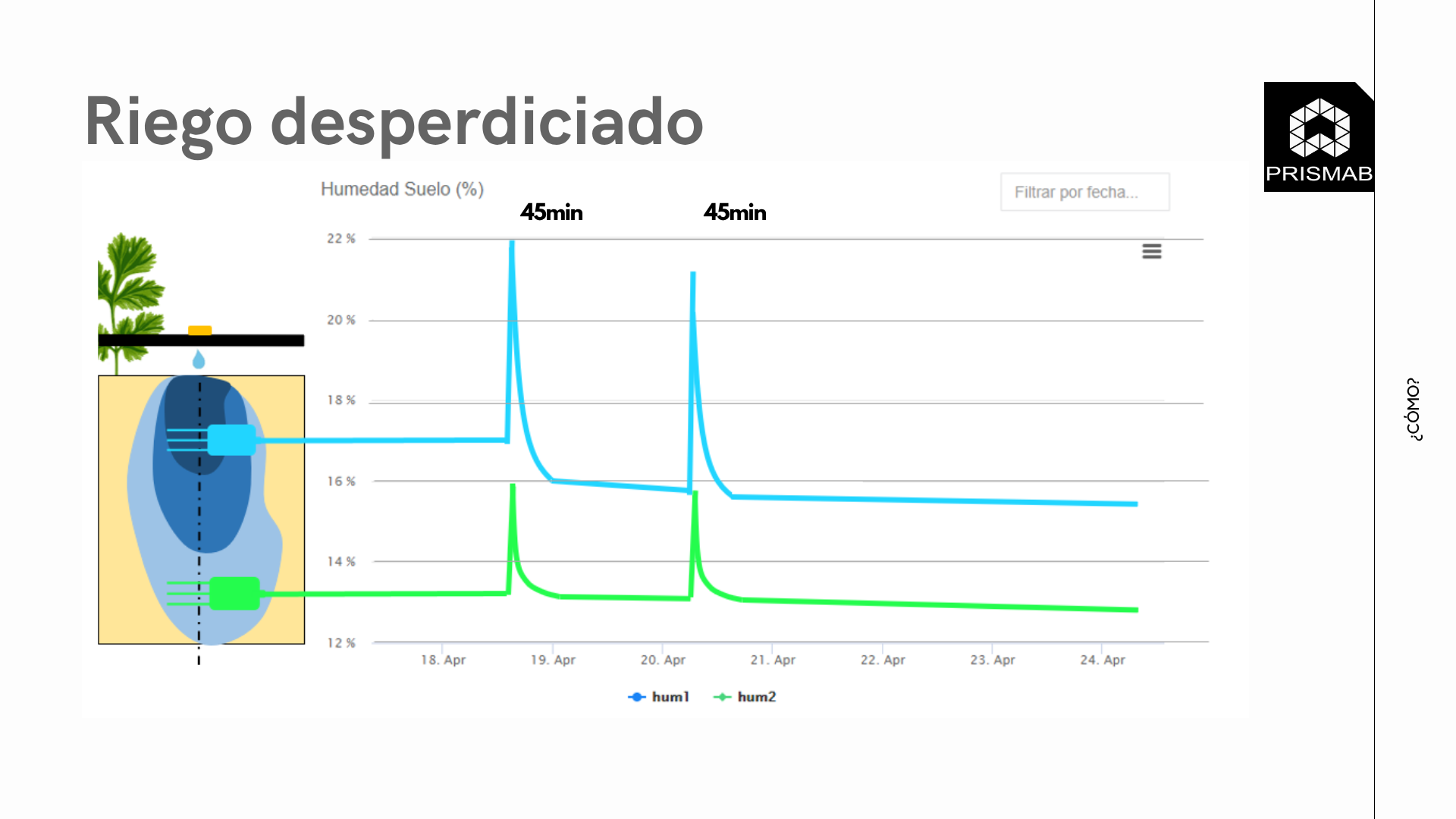Gráfico Prismab de humedad a dos profundidades con picos en superficial y profundo tras riegos de 45 min