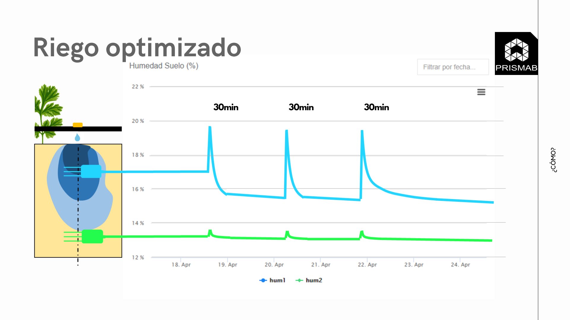 Gráfico Prismab de humedad a dos profundidades con reacción en superficial y profundo estable (30 min)