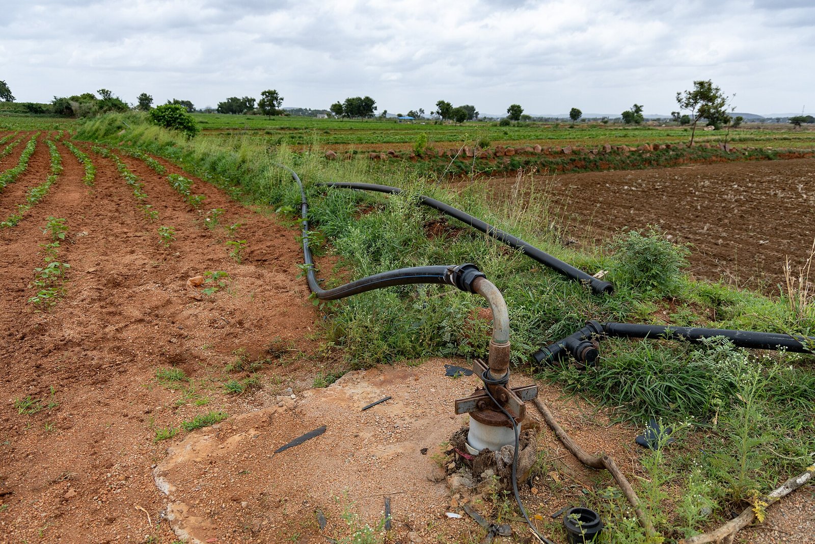 Sensor para bomba de agua: cómo evitar que la bomba de riego trabaje en seco y gaste de más