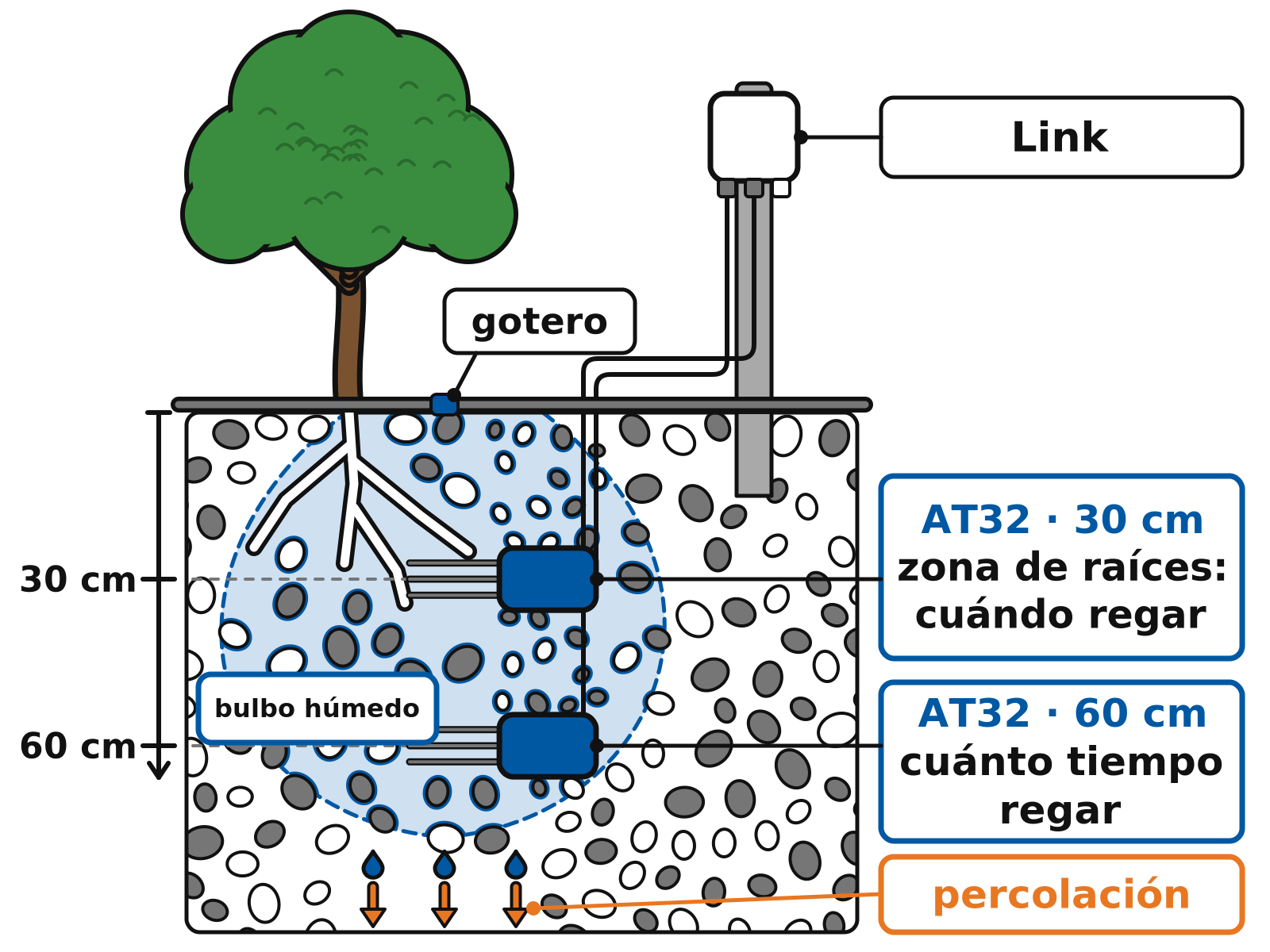 Esquema del perfil del suelo bajo un árbol frutal regado por goteo: bulbo húmedo, sensor AT32 a 30 cm en la zona de raíces, otro a 60 cm para detectar percolación y transmisor Link en lo alto del poste