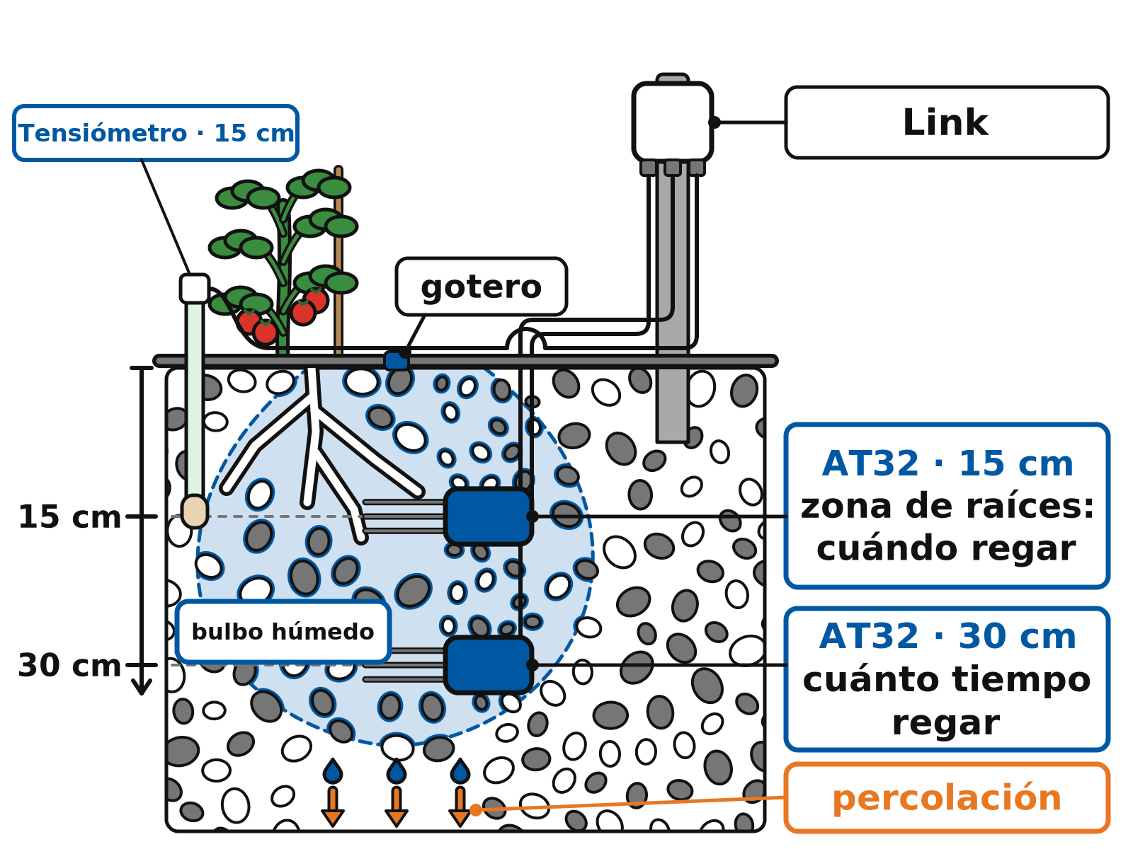 Esquema del perfil del suelo bajo la planta regada por goteo: tensiómetro y sensor AT32 a 15 cm, otro AT32 a 30 cm y transmisor Link en lo alto del poste