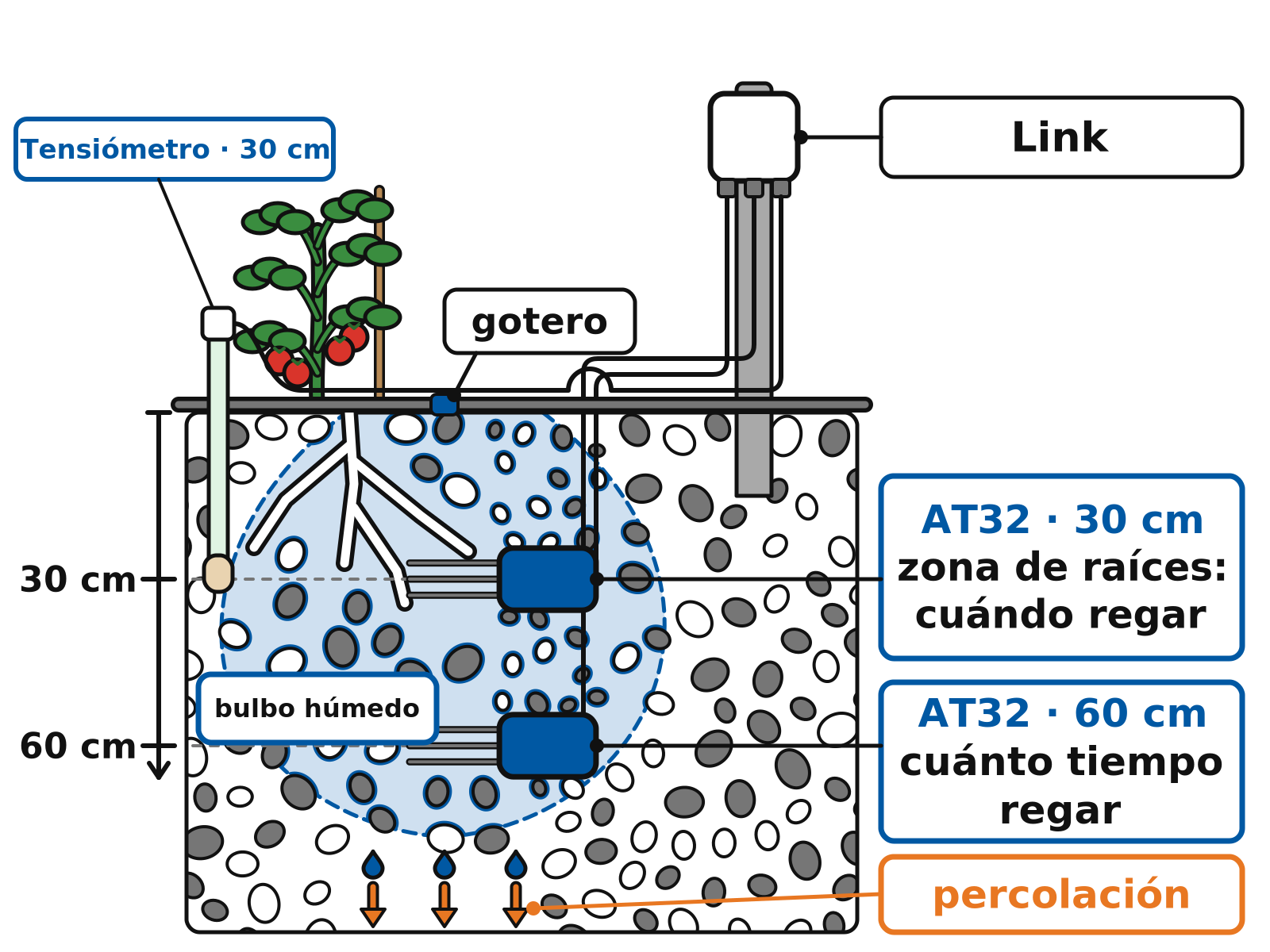 Esquema del perfil del suelo bajo una tomatera regada por goteo: tensiómetro a 30 cm, sensores AT32 a 30 y 60 cm y transmisor Link en lo alto del poste