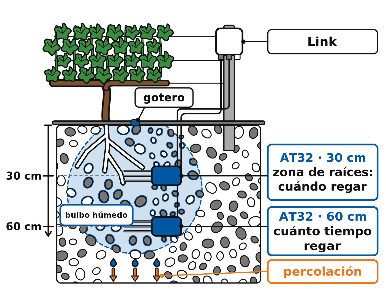 Esquema del perfil del suelo bajo una cepa en espaldera regada por goteo: bulbo húmedo, sensor AT32 a 30 cm en la zona de raíces, otro a 60 cm para detectar percolación y transmisor Link en lo alto del poste