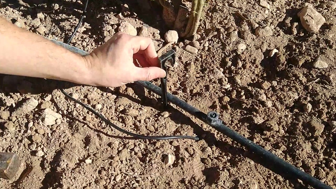 Mano junto a la tubería de goteo, sobre suelo seco, en el punto donde se va a instalar el sensor