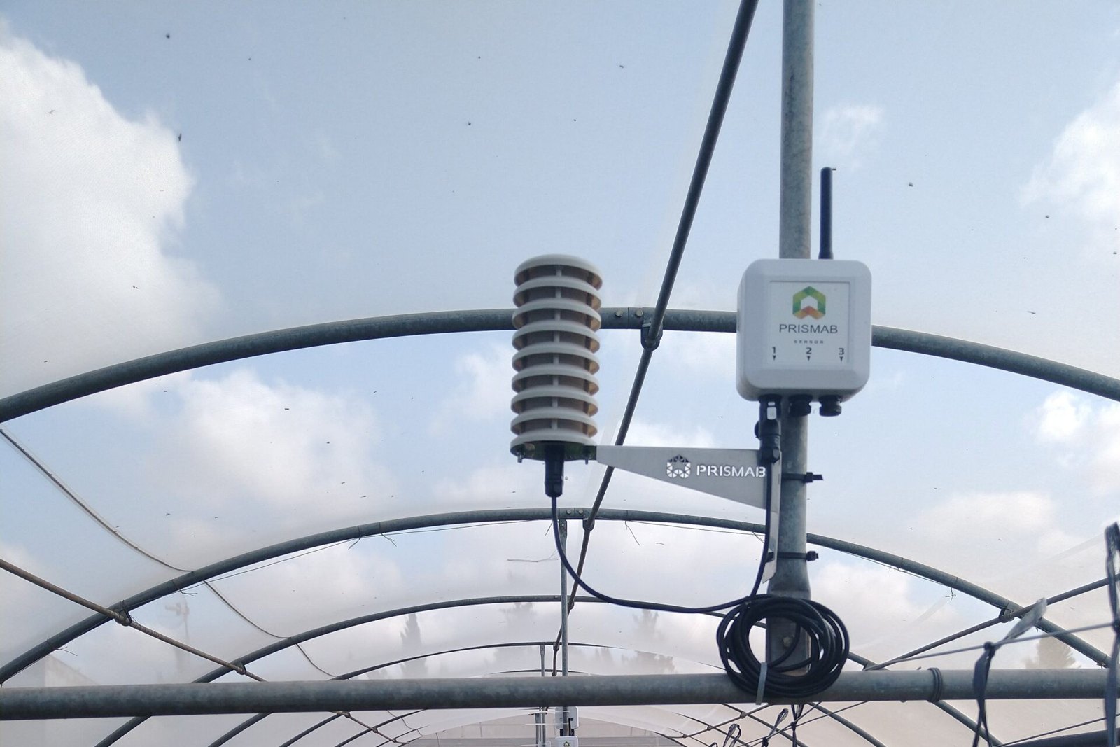 Estación meteorológica Prismab MET3 con su escudo de radiación y transmisor Link en un poste de invernadero