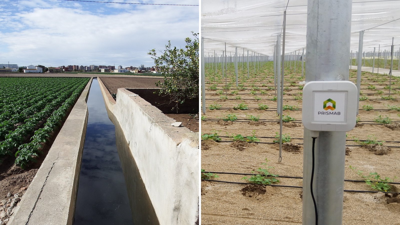 Agricultura tradicional y moderna: acequia de riego en la huerta de Alboraia junto a un invernadero con riego por goteo y un transmisor Prismab