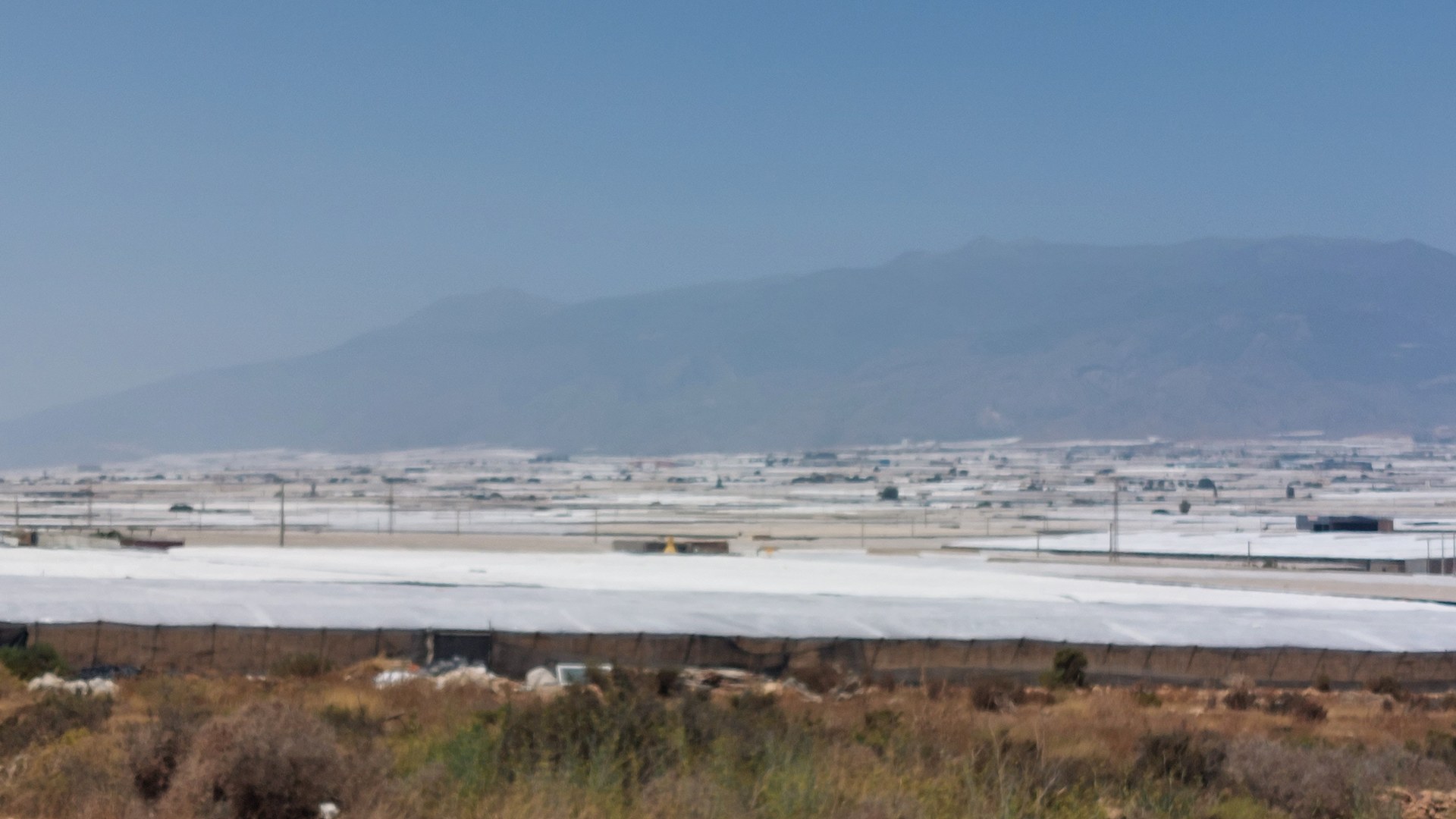 Mar de invernaderos blancos al fondo, al pie de una sierra, con terreno de secano y matorral en primer plano: contraste entre agricultura intensiva y extensiva