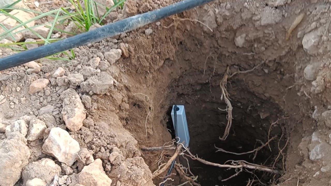 Sensor de suelo Prismab en el fondo de un hoyo con raíces, justo debajo de la tubería de goteo