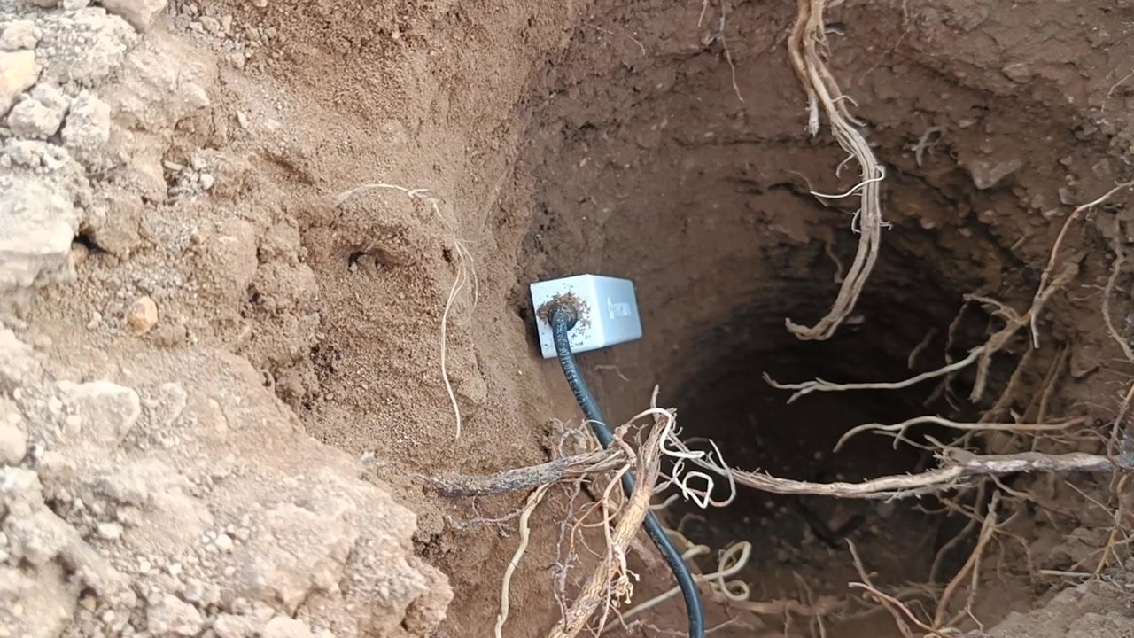 Sensor de suelo Prismab clavado en la pared de un hoyo de instalación, entre raíces finas de una cepa
