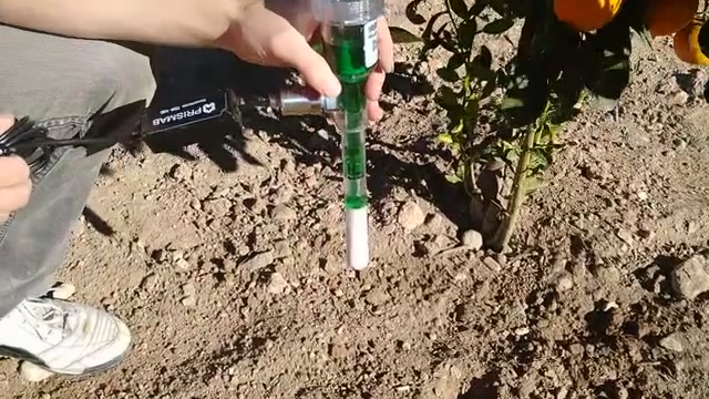 Tensiómetro de tubo con líquido verde y transductor de presión conectado, clavado en el suelo junto a un naranjo